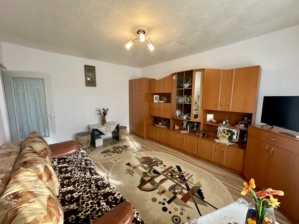 Apartament cu priveliște panoramică Zorilor