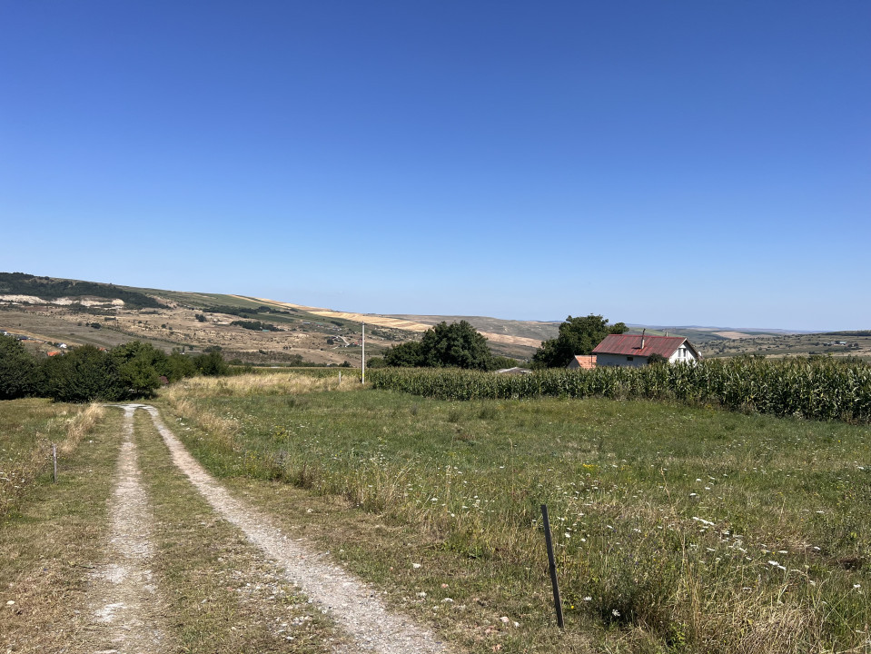 Teren 1000mp, zonă superbă, Valea Fânațelor, COMISION 0%
