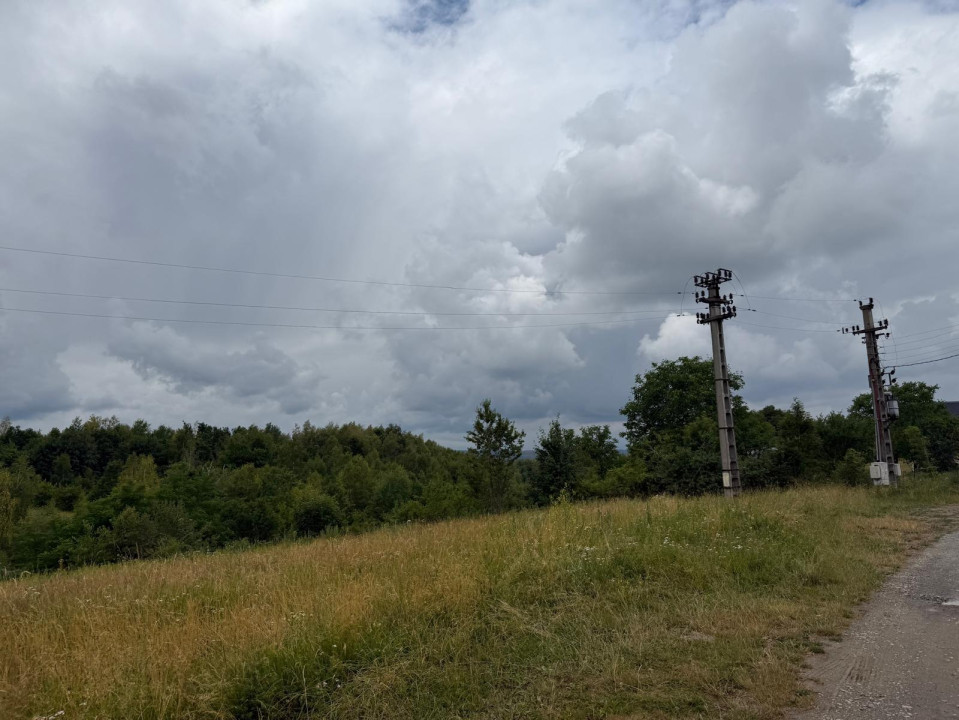 Teren de vânzare Bălcești, ideal pentru investiție și construcție cabane 