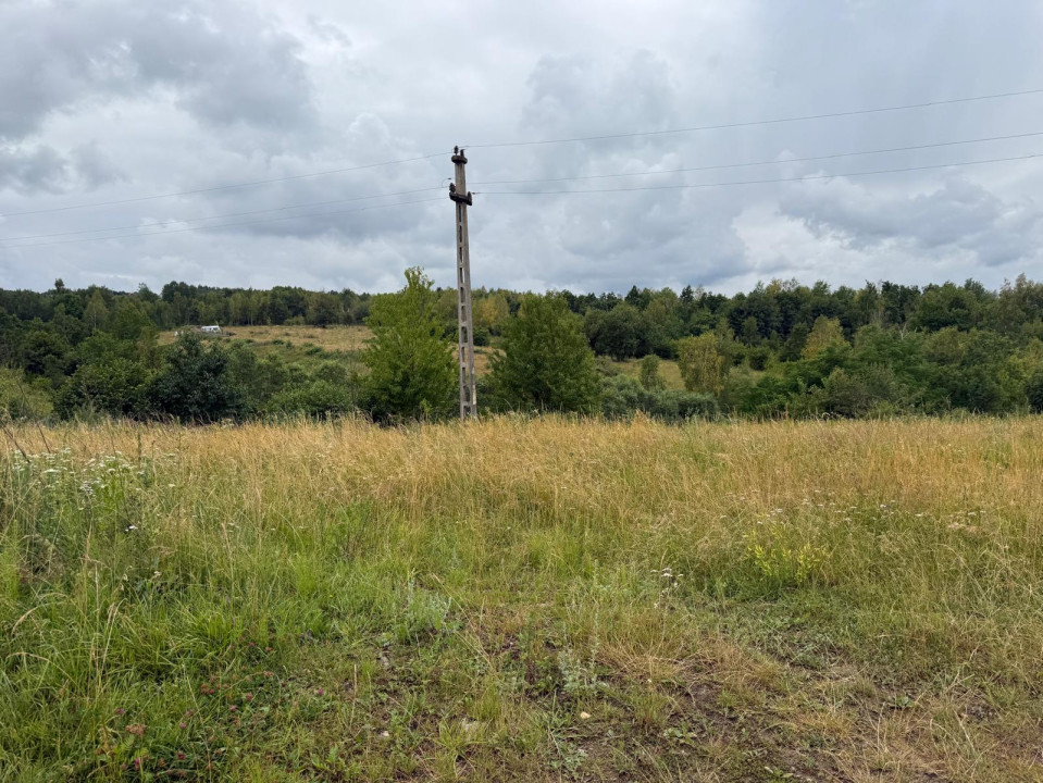 Teren de vânzare Bălcești, ideal pentru investiție și construcție cabane 
