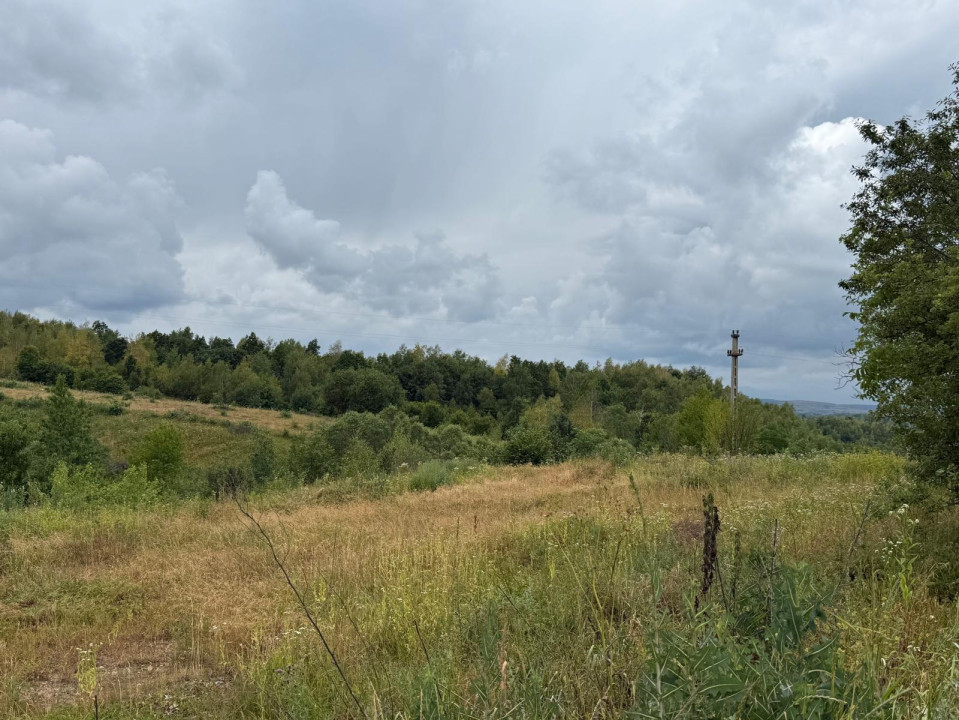 Teren de vânzare Bălcești, ideal pentru investiție și construcție cabane 