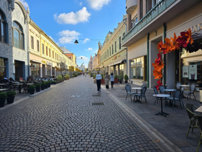 Bijuterie Art Nouveau în inima Oradiei – apartament ultracentral pe Str. Vasile 